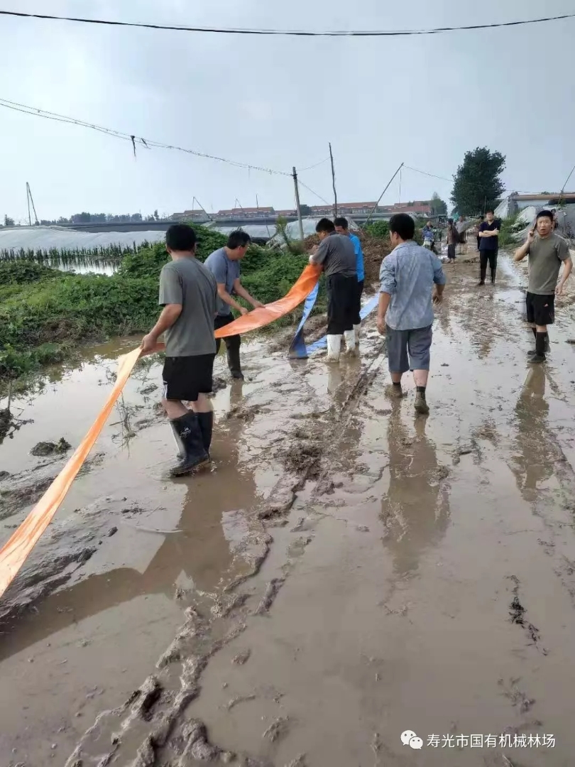 腾博会官网·专业服务,诚信为本