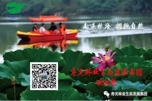腾博会官网·专业服务,诚信为本