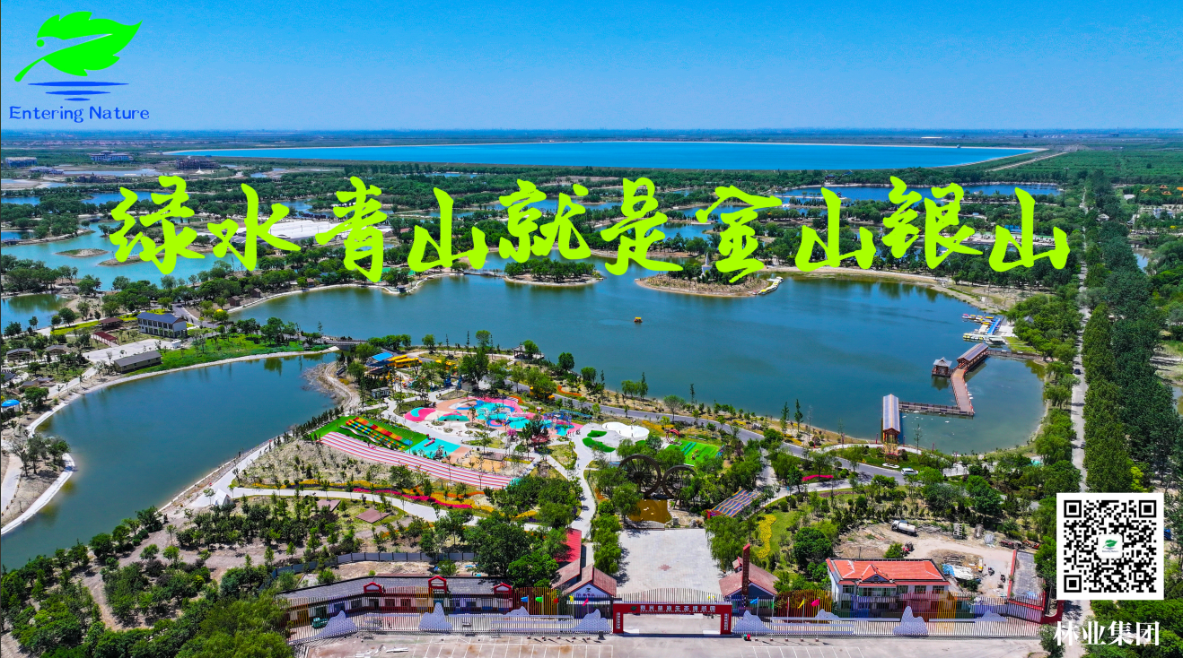 �ڲ��������רҵЧ��,����Ϊ��